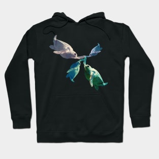 High-Five Turtle Love Hoodie